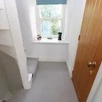 Cross View *
